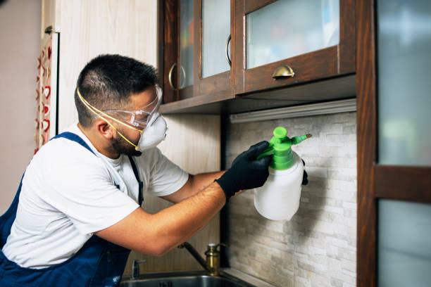 Wasp Removal Services in Waycross, GA