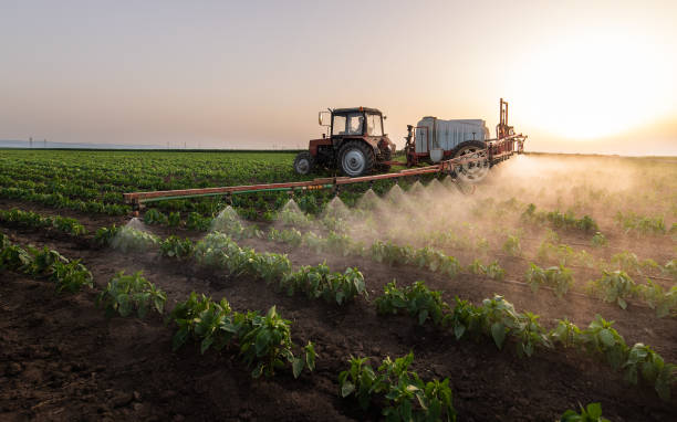 Reliable Waycross, GA Pest Control Solutions