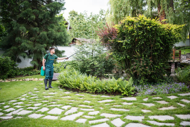 Best Best Pest Control Companies  in Waycross, GA