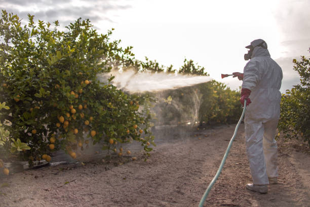Flea Control Services in Waycross, GA