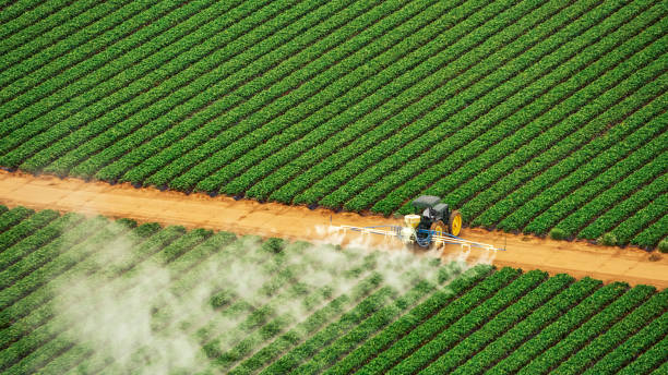  Waycross, GA Pest Control Pros