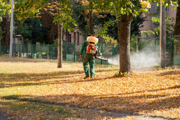 Best Cockroach Control Services  in Waycross, GA