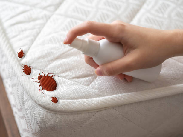 Best Mosquito Control Services  in Waycross, GA