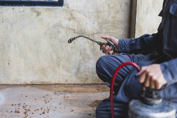 Best Local Pest Control Services  in Waycross, GA
