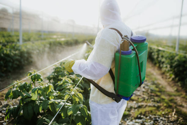 Best Emergency Pest Control  in Waycross, GA